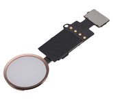 Home Button Solution Compatible For iPhone 7 / 7 Plus / 8 / 8 Plus / SE (2020) / SE (2022) (Rose Gold) (Version 8.1 / JCID / Individually Tested For Functionality)