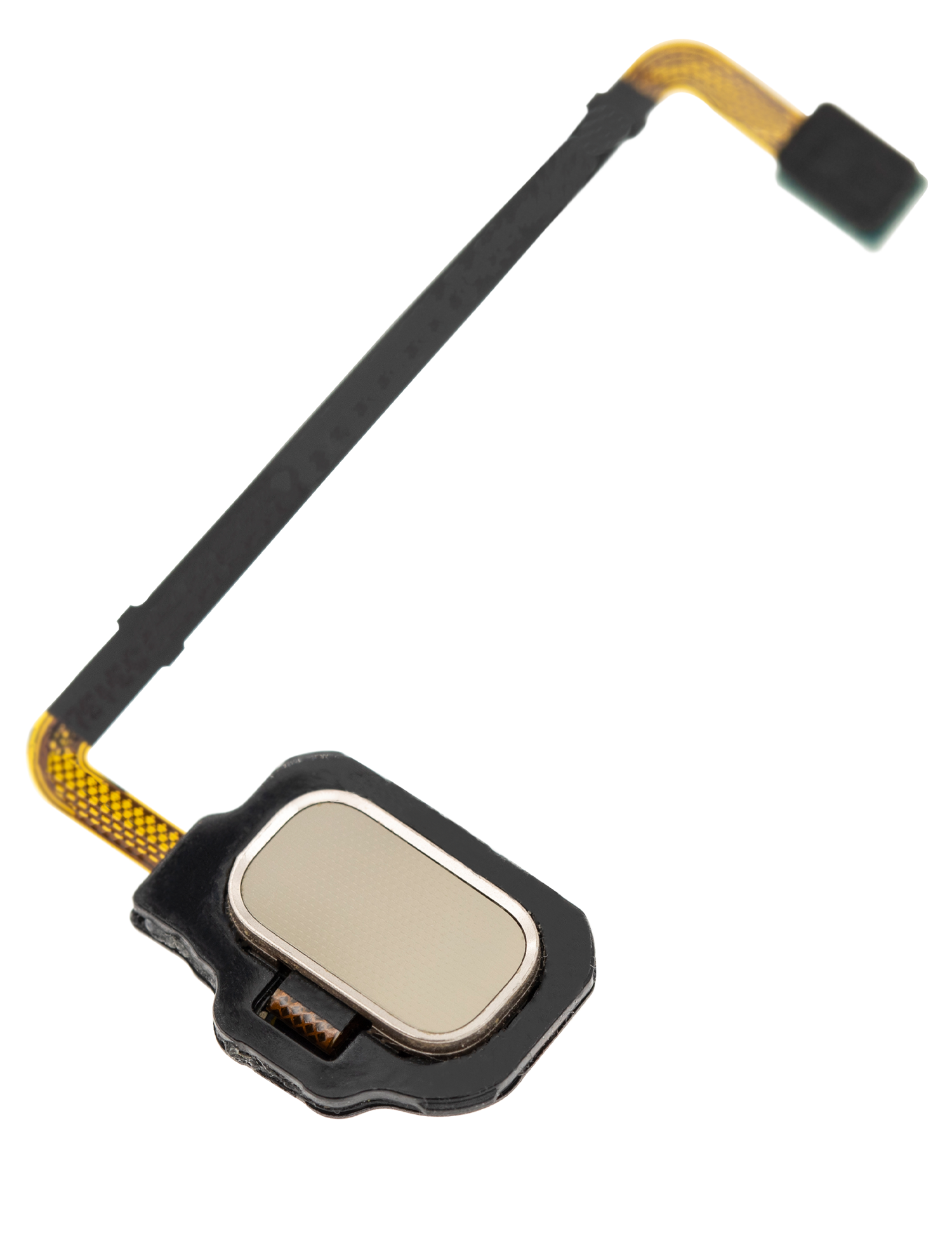 Fingerprint Reader With Flex Cable Replacement Compatible For Samsung Galaxy S8 Active (Tungsten Gold)