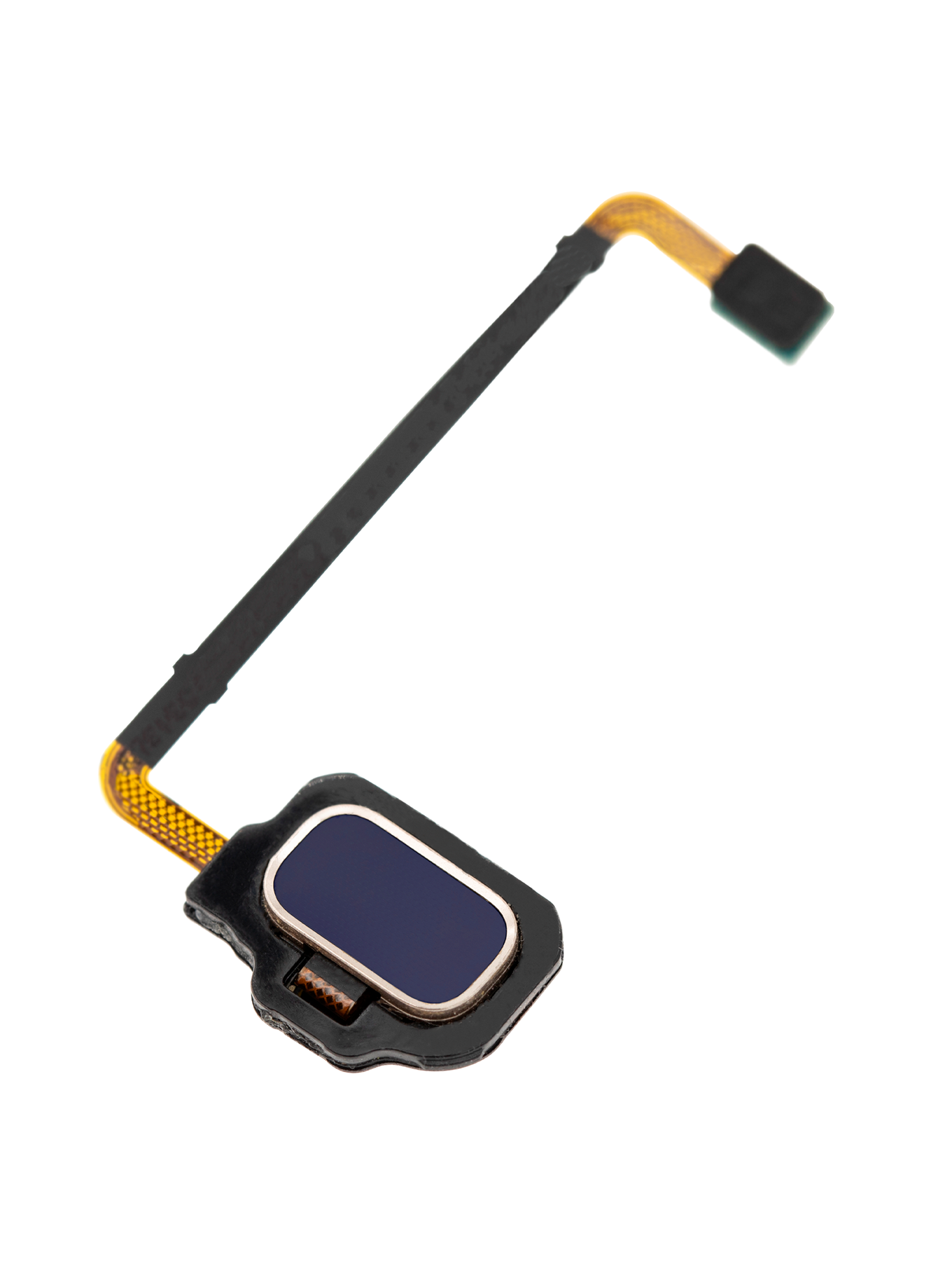 Fingerprint Reader With Flex Cable Compatible For Samsung Galaxy S8 Active Replacement by Macfactory.Store(Blue)