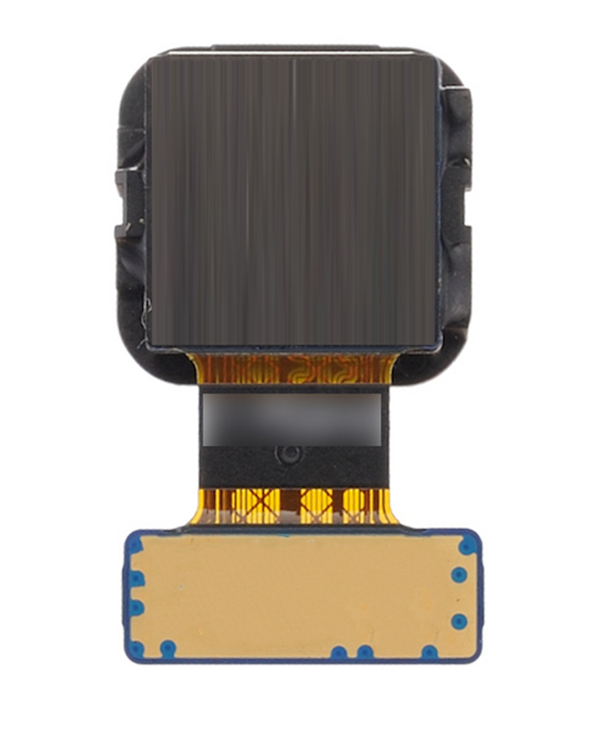 Back Camera Lens Compatible For Samsung Galaxy J3 (J327 / 2017) (Gold)