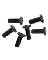 Hinge Screws (Torx T6) For MacBook Pro 15" (A1260 / Early 2008)