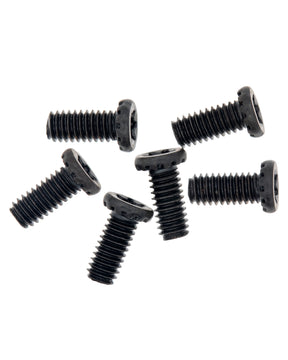 Hinge Screws (Torx T6) For MacBook Pro 15" (A1260 / Early 2008)
