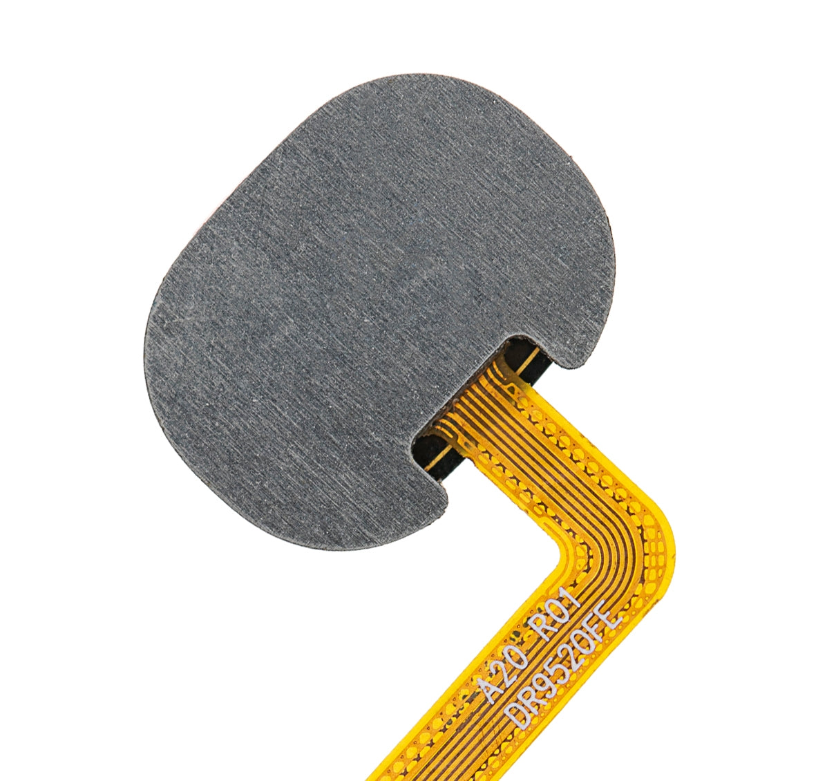 Fingerprint Reader With Flex Cable Compatible For Samsung Galaxy A20 (A205 / 2019) (Red)