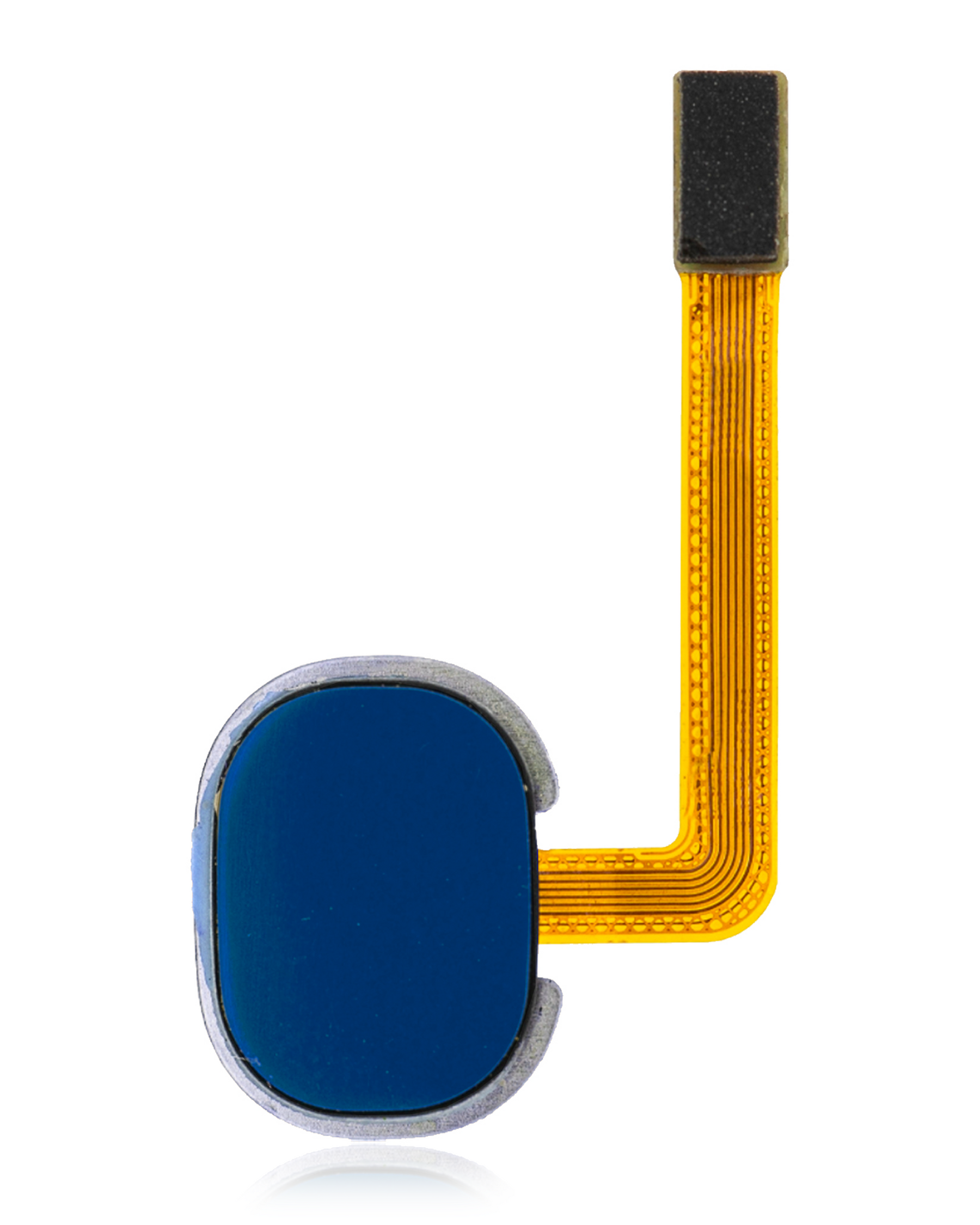 Fingerprint Reader With Flex Cable Compatible For Samsung Galaxy A20 (A205 / 2019) (Deep Blue)