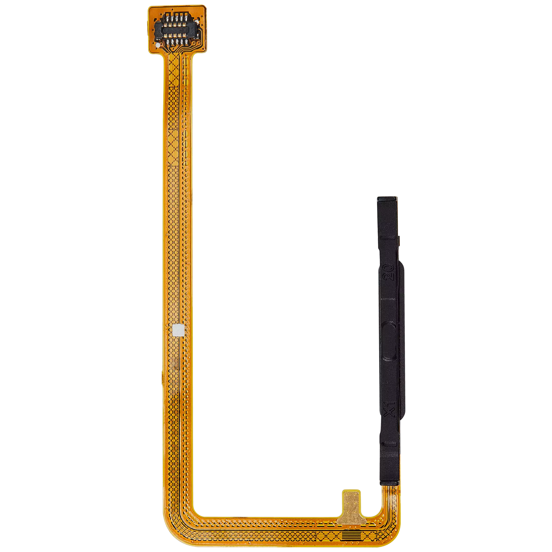 Fingerprint Reader With Flex Cable Compatible For Samsung Galaxy A06 (A065 / 2024) (Premium) (Blue)