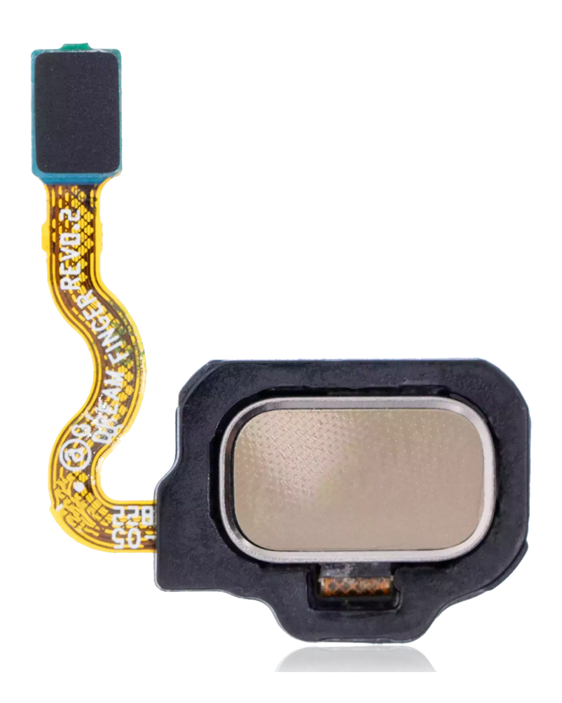 Fingerprint Reader With Flex Cable Replacement Compatible For Samsung Galaxy S8 / S8 Plus (Maple Gold)