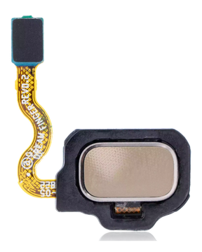 Fingerprint Reader With Flex Cable Replacement Compatible For Samsung Galaxy S8 / S8 Plus (Maple Gold)