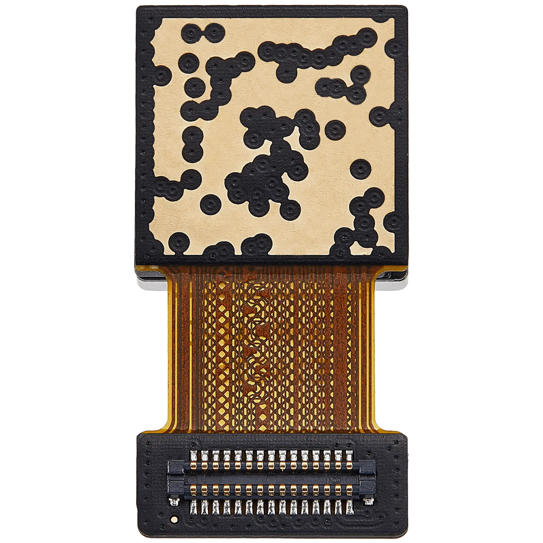 Back Camera (Wide) Compatible For Samsung Galaxy A06 (A065 / 2024) (Premium)