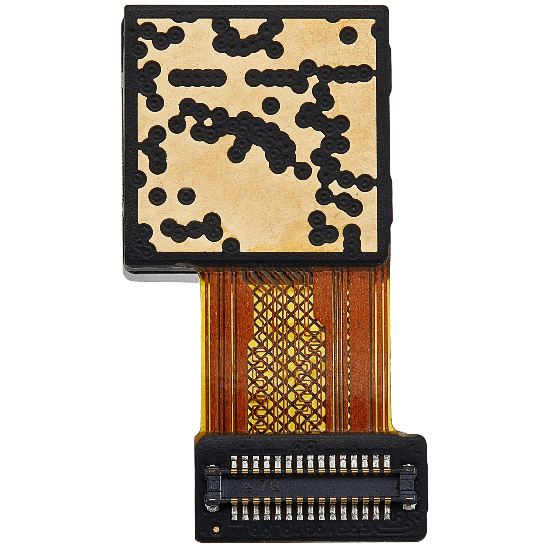 Back Camera (Wide) Compatible For Samsung GalaxyA15 5G (A156 / 2023) (Premium)