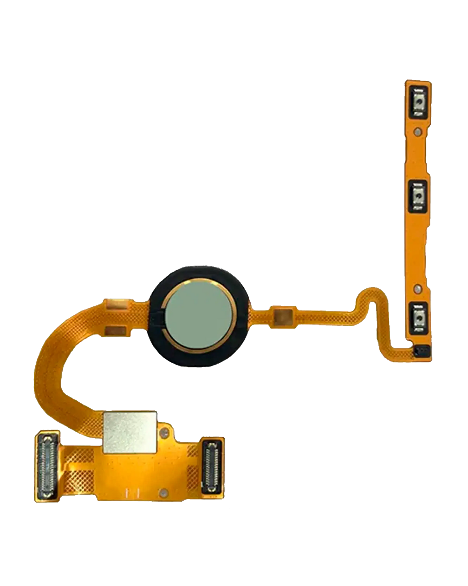 Replacement Fingerprint Reader With Flex Cable Compatible For Google Pixel 5 (Genuine OEM) (Sorta Sage)