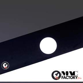 LCD WITH DIGITIZER ASSEMBLY WITHOUT HOME BUTTON FOR IPAD MINI 4- BLACK